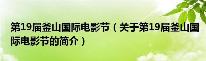 第19屆釜山國際電影節(jié)（關(guān)于第19屆釜山國際電影節(jié)的簡介）