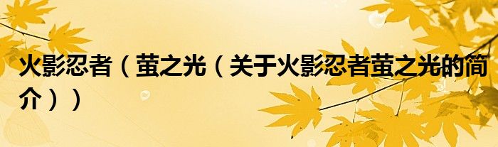 火影忍者（螢之光（關(guān)于火影忍者螢之光的簡(jiǎn)介））