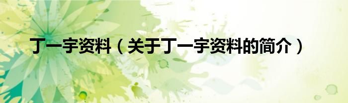 丁一宇資料（關(guān)于丁一宇資料的簡(jiǎn)介）