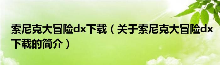 索尼克大冒險dx下載（關于索尼克大冒險dx下載的簡介）