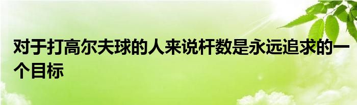 對(duì)于打高爾夫球的人來說桿數(shù)是永遠(yuǎn)追求的一個(gè)目標(biāo)