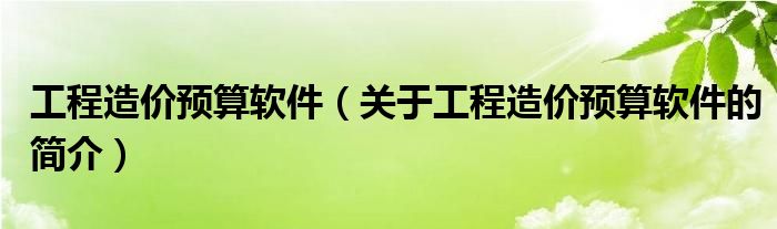 工程造價預(yù)算軟件（關(guān)于工程造價預(yù)算軟件的簡介）