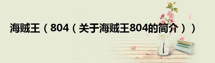 海賊王（804（關(guān)于海賊王804的簡(jiǎn)介））