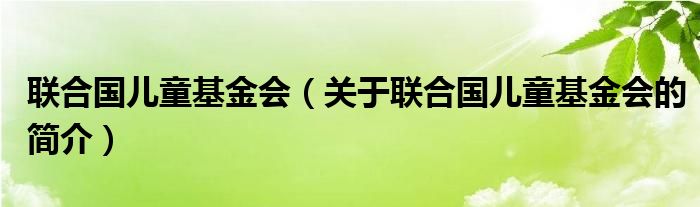 聯(lián)合國兒童基金會(huì)（關(guān)于聯(lián)合國兒童基金會(huì)的簡介）