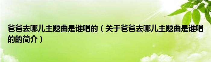 爸爸去哪兒主題曲是誰(shuí)唱的（關(guān)于爸爸去哪兒主題曲是誰(shuí)唱的的簡(jiǎn)介）