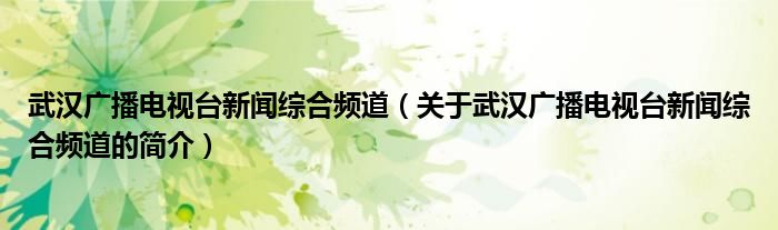 武漢廣播電視臺新聞綜合頻道（關于武漢廣播電視臺新聞綜合頻道的簡介）