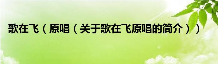 歌在飛（原唱（關(guān)于歌在飛原唱的簡(jiǎn)介））