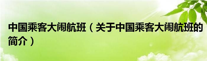 中國乘客大鬧航班（關(guān)于中國乘客大鬧航班的簡介）