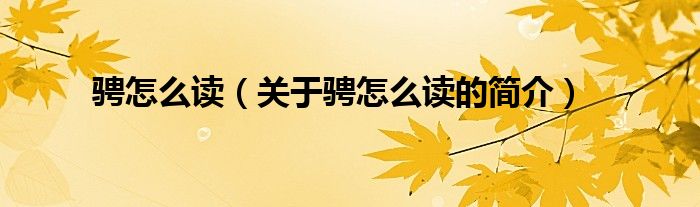 騁怎么讀（關(guān)于騁怎么讀的簡(jiǎn)介）