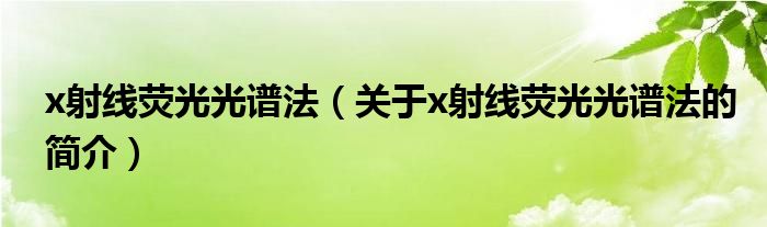 x射線熒光光譜法（關(guān)于x射線熒光光譜法的簡介）