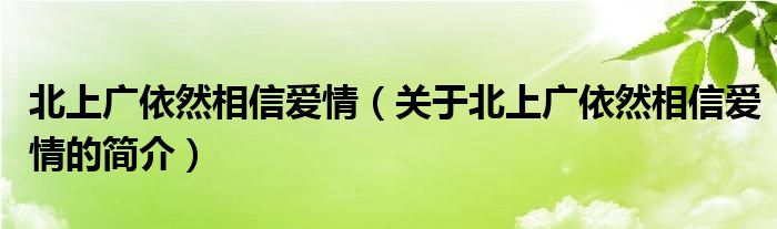 北上廣依然相信愛(ài)情（關(guān)于北上廣依然相信愛(ài)情的簡(jiǎn)介）