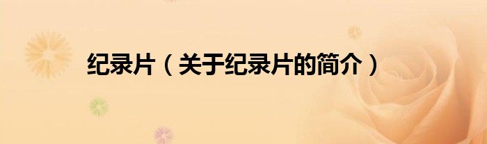 紀(jì)錄片（關(guān)于紀(jì)錄片的簡(jiǎn)介）