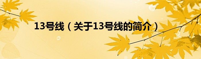 13號線（關于13號線的簡介）