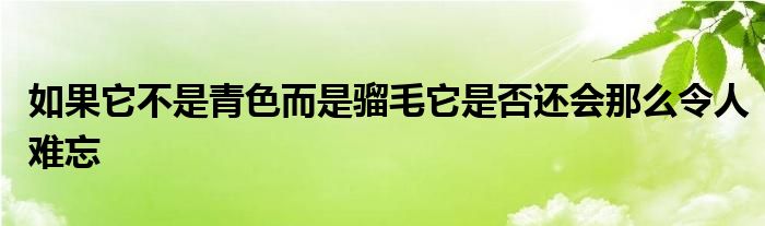 如果它不是青色而是騮毛它是否還會(huì)那么令人難忘