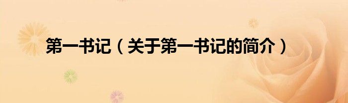 第一書記（關(guān)于第一書記的簡介）