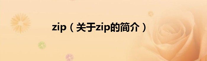 zip（關(guān)于zip的簡(jiǎn)介）