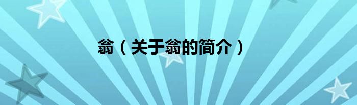 翁（關(guān)于翁的簡(jiǎn)介）