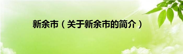 新余市（關(guān)于新余市的簡(jiǎn)介）