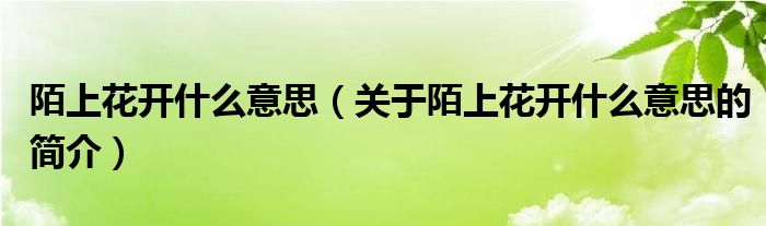 陌上花開什么意思（關于陌上花開什么意思的簡介）