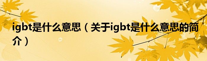 igbt是什么意思（關(guān)于igbt是什么意思的簡介）