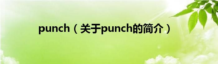 punch（關(guān)于punch的簡(jiǎn)介）