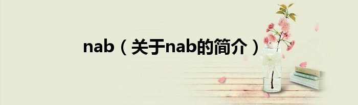 nab（關(guān)于nab的簡(jiǎn)介）