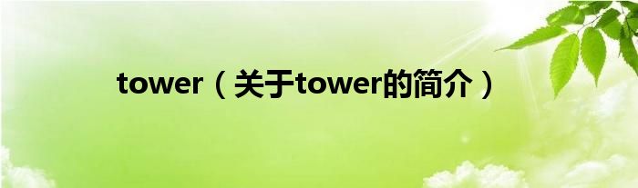 tower（關(guān)于tower的簡(jiǎn)介）