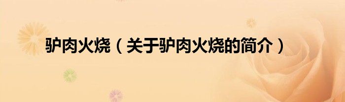 驢肉火燒（關(guān)于驢肉火燒的簡(jiǎn)介）