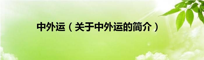 中外運（關(guān)于中外運的簡介）