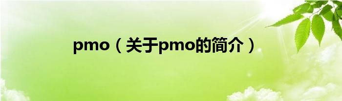 pmo（關(guān)于pmo的簡(jiǎn)介）