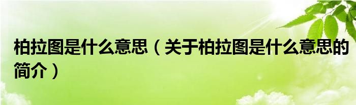 柏拉圖是什么意思（關(guān)于柏拉圖是什么意思的簡介）