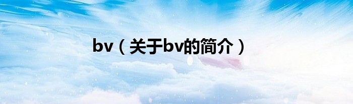 bv（關于bv的簡介）