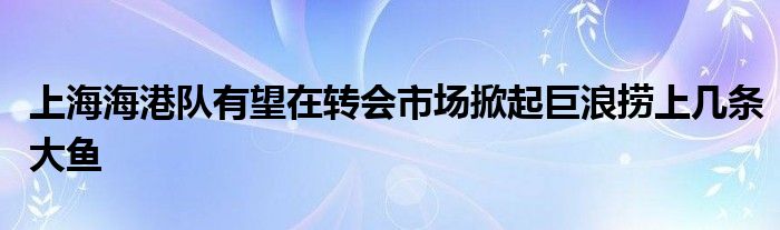 上海海港隊(duì)有望在轉(zhuǎn)會(huì)市場掀起巨浪撈上幾條大魚