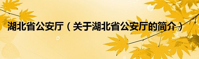 湖北省公安廳（關(guān)于湖北省公安廳的簡(jiǎn)介）