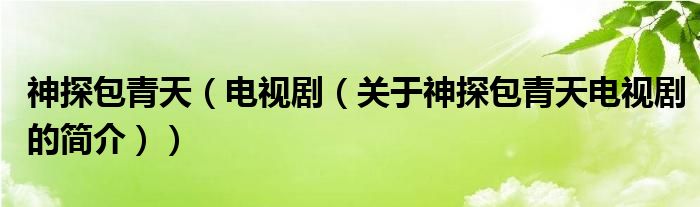 神探包青天（電視?。P(guān)于神探包青天電視劇的簡介））