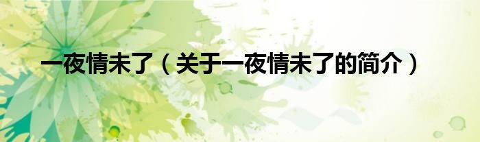 一夜情未了（關(guān)于一夜情未了的簡(jiǎn)介）