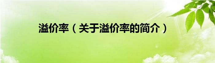 溢價(jià)率（關(guān)于溢價(jià)率的簡(jiǎn)介）