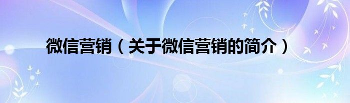 微信營銷（關(guān)于微信營銷的簡(jiǎn)介）