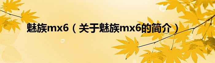 魅族mx6（關(guān)于魅族mx6的簡介）