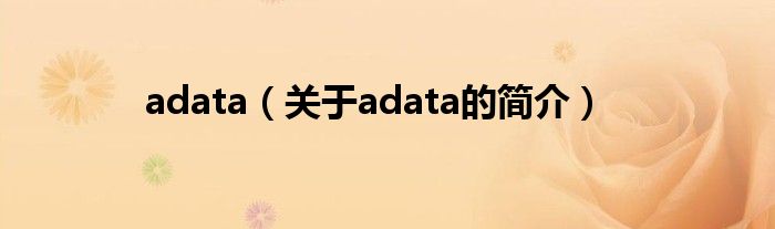 adata（關于adata的簡介）