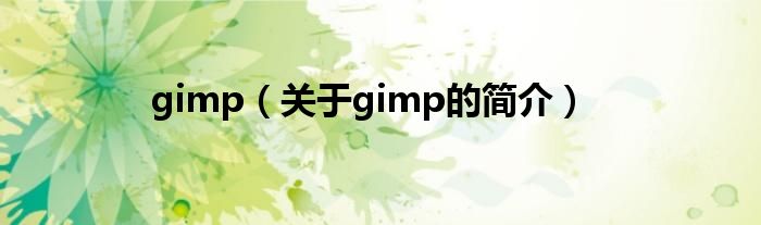 gimp（關(guān)于gimp的簡(jiǎn)介）