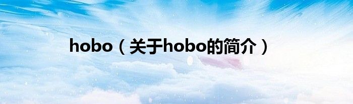 hobo（關(guān)于hobo的簡介）