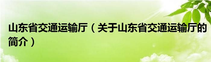 山東省交通運輸廳（關于山東省交通運輸廳的簡介）