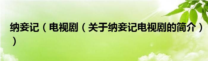 納妾記（電視?。P(guān)于納妾記電視劇的簡(jiǎn)介））