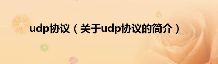 udp協(xié)議（關(guān)于udp協(xié)議的簡(jiǎn)介）