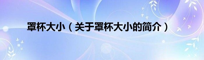 罩杯大?。P于罩杯大小的簡介）