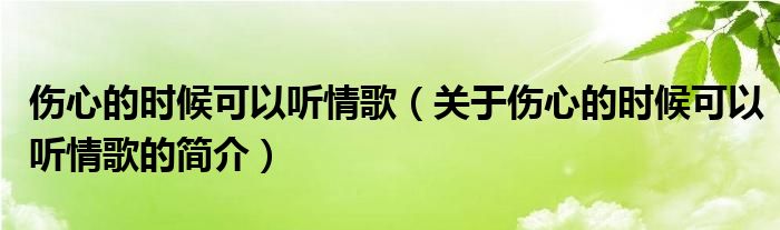 傷心的時候可以聽情歌（關(guān)于傷心的時候可以聽情歌的簡介）