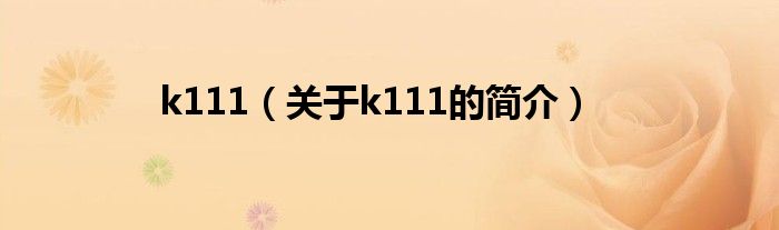 k111（關于k111的簡介）