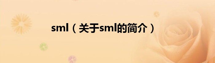 sml（關(guān)于sml的簡(jiǎn)介）