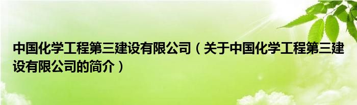 中國化學(xué)工程第三建設(shè)有限公司（關(guān)于中國化學(xué)工程第三建設(shè)有限公司的簡介）